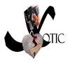 Don't Know About Love - Xotic