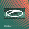 Surrender - Radion6