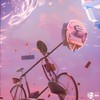 Mr. Nobody - Lander DL