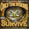 Everyone Has Its Day - Knight Owl&Seldom Seen