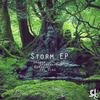Storm (Odi Diaz Remix) - Dranga