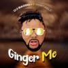 Ginger Me (feat. Portable) (Special Version) - DJ Baddo&Portable