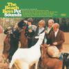 I Just Wasn't Made for These Times - The Beach Boys