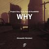 Why (Acoustic Version) - Project One&Truly High&PureMiND