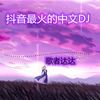 芒种咚鼓版 - 歌者达达&谭晓晨