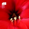 Deep Step (Original Mix) - Rey