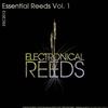 Vis-A-Vis (Original Mix) - DJ Kaine&Kreiss&GFP