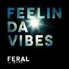 Feelin Da Vibes (MkC Remix) - FERAL is KINKY