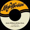 I´m All for You - Andre Williams&Gino Parks