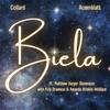 Biela (feat. Matthew Harper Stevenson, Kris Bramson & Amanda Briskin-Wallace) - Collard&Rosenblatt&Matthew Harper Stevenson&Kris Bramson&Amanda Briskin-Wallace