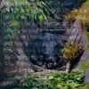 They Say - Mark Ian