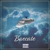 Baecate (feat. Miette & Avery Quinn) (Explicit) - yp boe&Miette&Avery Quinn