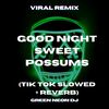 Good Night Sweet Possums (Tik Tok Slowed + Reverb) (Remix) - Green Neon DJ