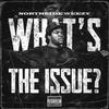 What's The Issue (Explicit) - Northside Weezy