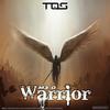 Warrior (Original Mix) - M3-O