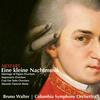 Overture - Columbia Symphony Orchestra&Bruno Walter
