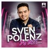 Du bist... - Sven Polenz