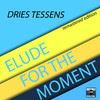 Elude For The Moment Remastered Edition (Original Mix) - Dries Tessens