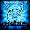 Constructive Destruction (其他) - Southwild