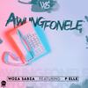 Awungfonele(feat. P Elle) - Woza Sabza&P Elle