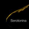 Serotonina(feat. CLAUSTRO & Ricardo Costa) (Explicit) - Filtro&Claustro&Ricardo Costa