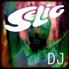 DJ - Selig