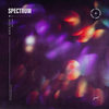 Spectrum - JKRS&Echo&Emie&Florence Welch&Paul Epworth