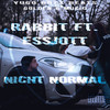 Nicht normal (Explicit) - Rabbit&EssJott