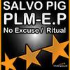 Ritual (Original Mix) - Salvo Pig DJ