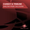 Shelter from the Storm (Drm Remix Edit) - Cueboy&Tribune