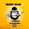 Right Now (feat. KainBoii & SlumBaby) (Explicit) - MoonkG&KainBoii&SlumBaby