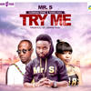 Try Me - Mr. S&Flowking Stone&Karoli Naa