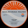 Binary World - Hamoon&Aliot&Bunbeck