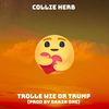 Trolle wie dr Trump - Collie Herb