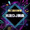 月亮惹的祸 dj（榜单十倍Music） - 酒酒制造