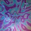 Butterflies - Dxggxrr