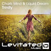 Trinity (Radio Edit) - Charls Mind&Liquid Dream