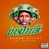 Insimbi - Thando Majika