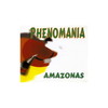 Amazonas (Radio Edit) - Phenomania