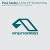 A Sort Of Homecoming (King Roc remix) - Paul Keeley