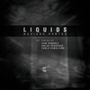 Liquids (Raw Vandalz Remix) - Mariano Santos&Raw Vandalz