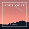 Your Voice - Feeza