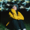 Fireflies - Sara Kays