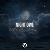 Night Owl - Seelo&Thomas Anthony