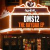 Row 14 (Original Mix) - DMS12