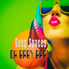 Acid (Disco House Mix) - Deep Spaces