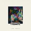 4 Letters - PromNite&TZAR