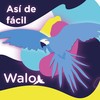 Asi de Facil WALO (Radio Edit) - RUIZMUSIC&The Faces on the Beat