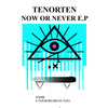 Now Or Never (Original Mix) - Tenorten