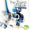 The Zound of Muzik (Original Mix) - Sebastian Davidson&Edwin & Ferdy